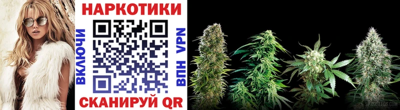 Купить закладку АМФ  А ПВП  Мефедрон  Cocaine  Псилоцибиновые грибы  Бошки Шишки  Краснознаменск