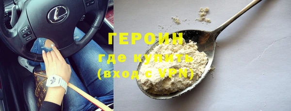 прущие грибы Вязьма
