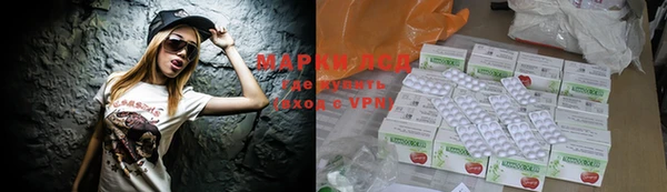 прущие грибы Вязьма