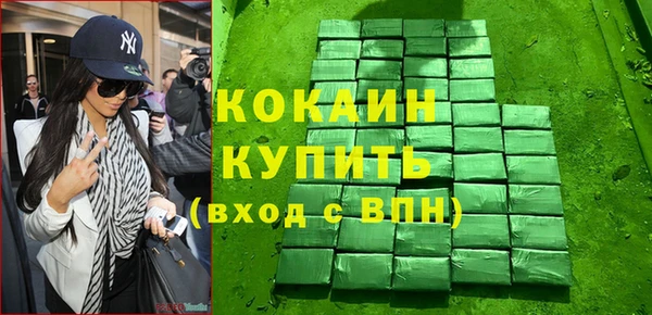 прущие грибы Вязьма