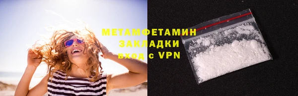 прущие грибы Вязьма