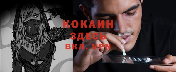 прущие грибы Вязьма