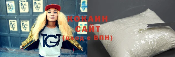 прущие грибы Вязьма