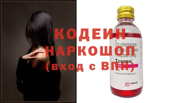 прущие грибы Вязьма