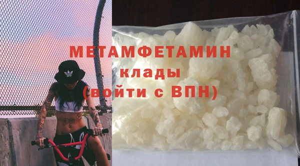 прущие грибы Вязьма
