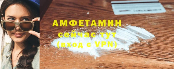 прущие грибы Вязьма