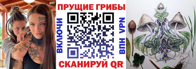 Псилоцибиновые грибы мухоморы  Купить  Краснознаменск 